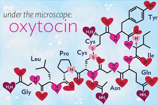 oxytokin